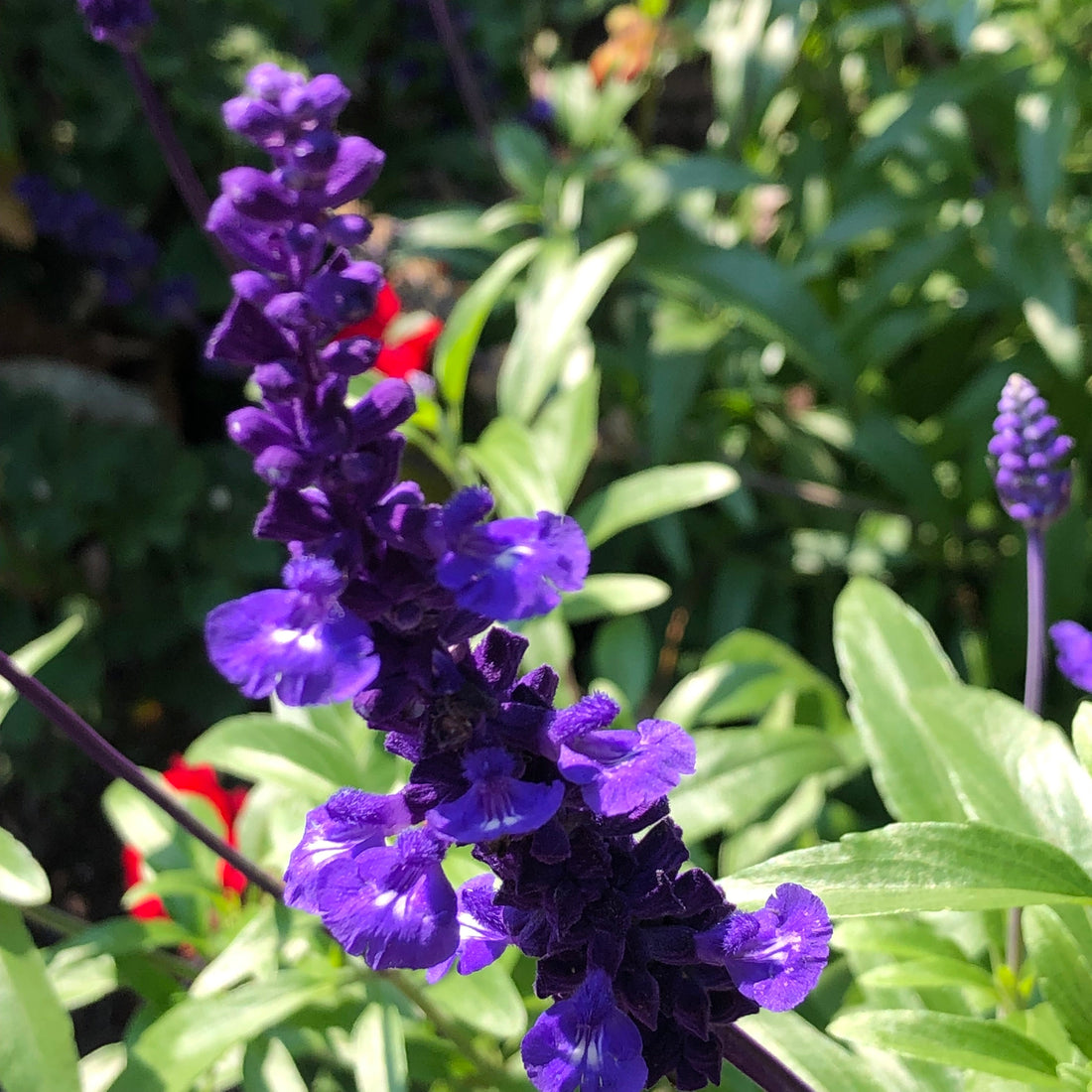 Embracing Change: Navigating the Uncomfortable Path