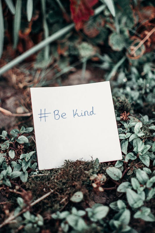 The Decline of Kindness: Rediscovering the Art of Being Nice